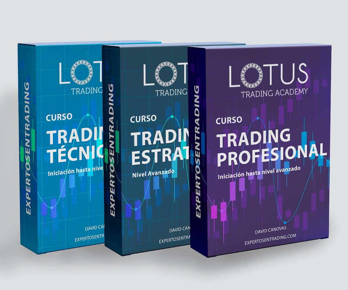 Academia de Trading y Bolsa - Lotus Trading Academy - Gimnasia em Alicante (Alacant)