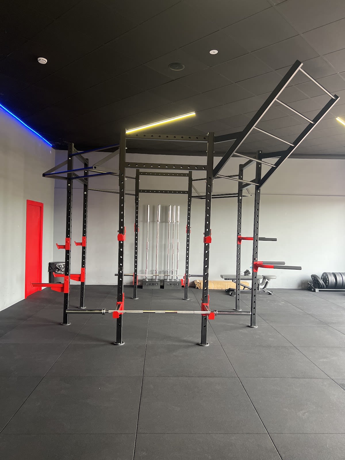 Forma Sport Elche - Gimnasia en Elx