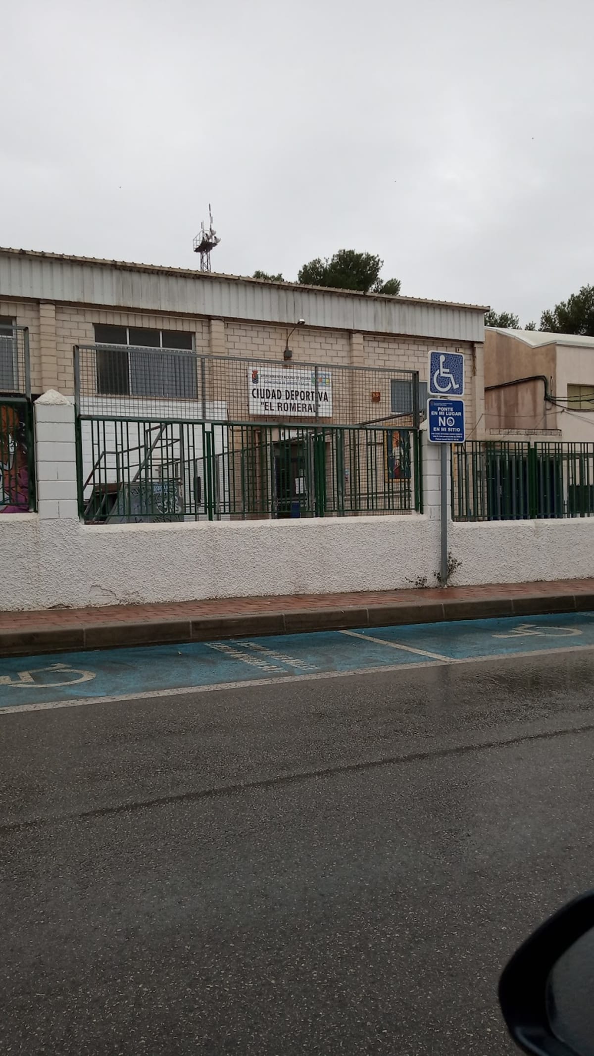 Agrupación Molinense de Tenis de Mesa y Gimnasia Ritmica - Gimnasia a Molina de Segura