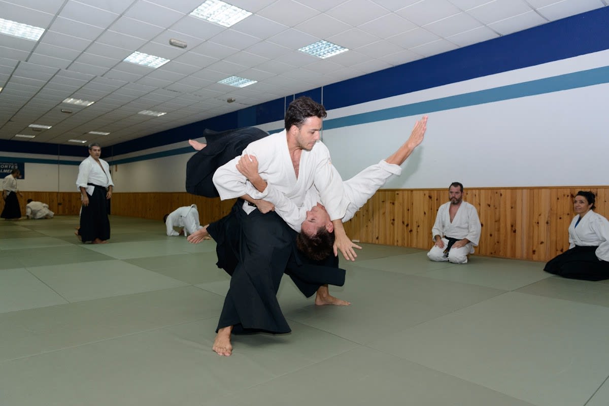 Almería Aikido Aikikai - Clases de Aikido en Almería - Karate en Almería