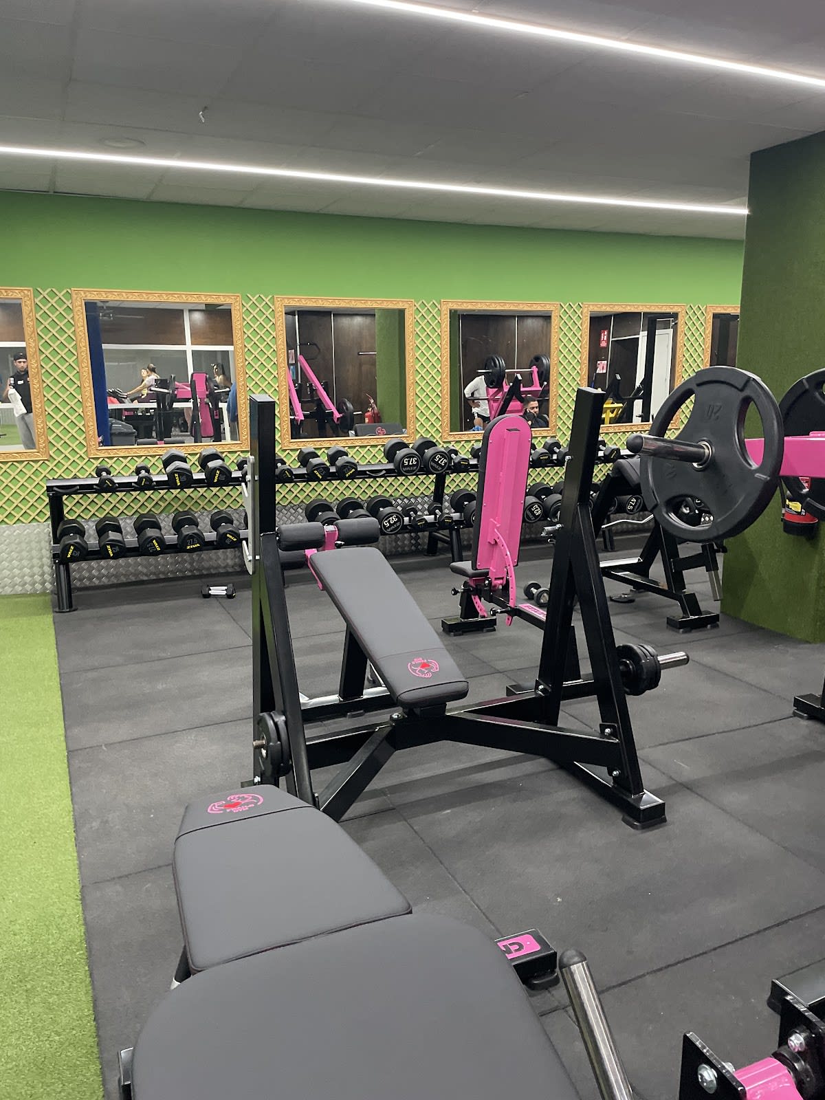 USA Ibiza Fraile - Gimnasia en Eivissa