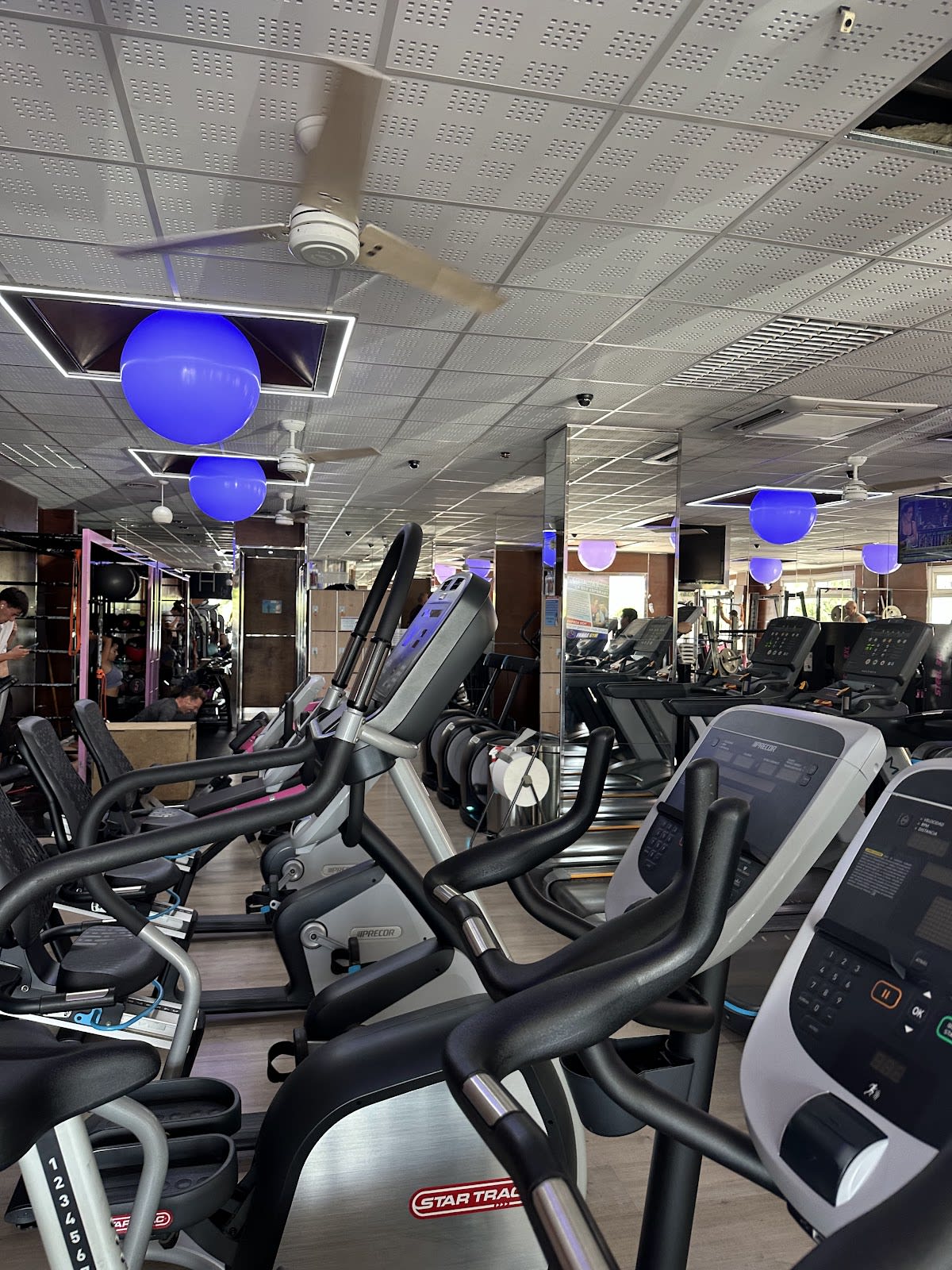 Fraile Jesús - Gimnasia em Can Sire