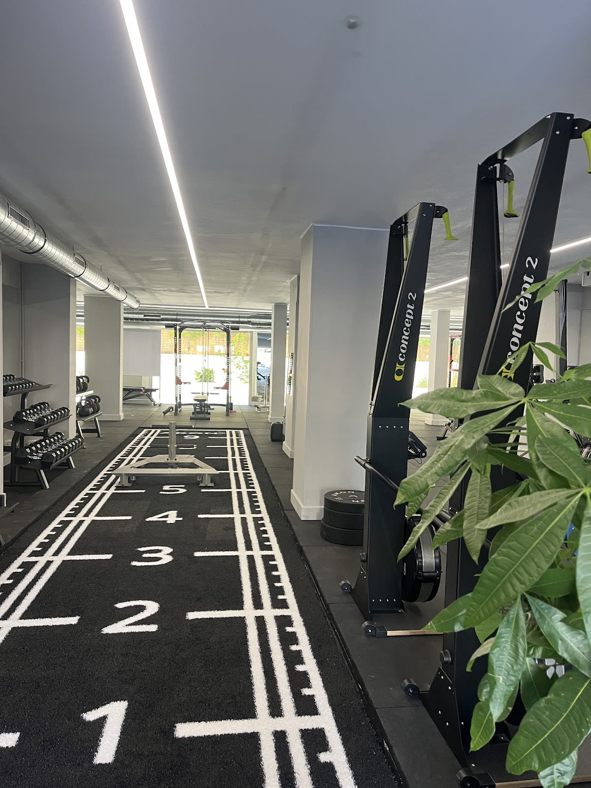 HOPE | Club de Fuerza | Transformación Física | Pérdida de Peso | Ganancia Muscular - Crossfit en Magaluf