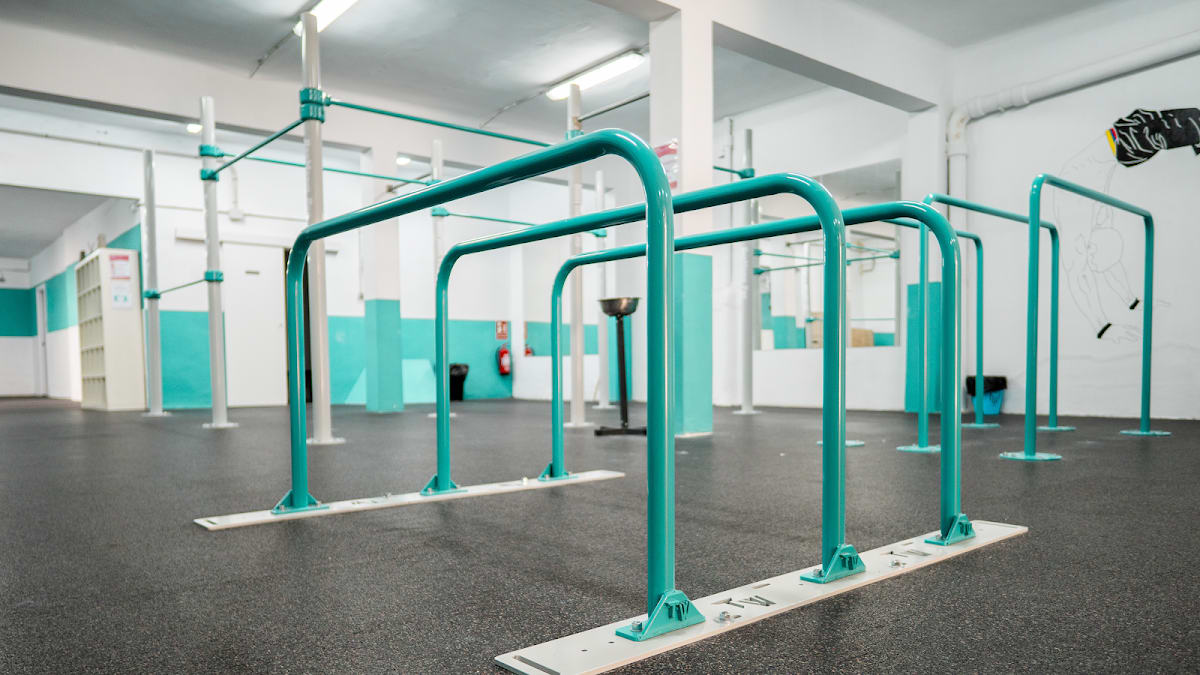 Jap Calisthenics Center - Gimnasia a Palma