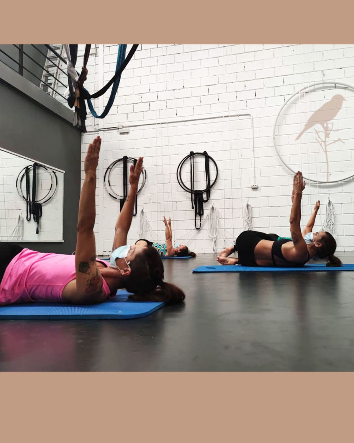 Mirlo Danza Aérea y Deporte - Gimnasia en Las Chafiras