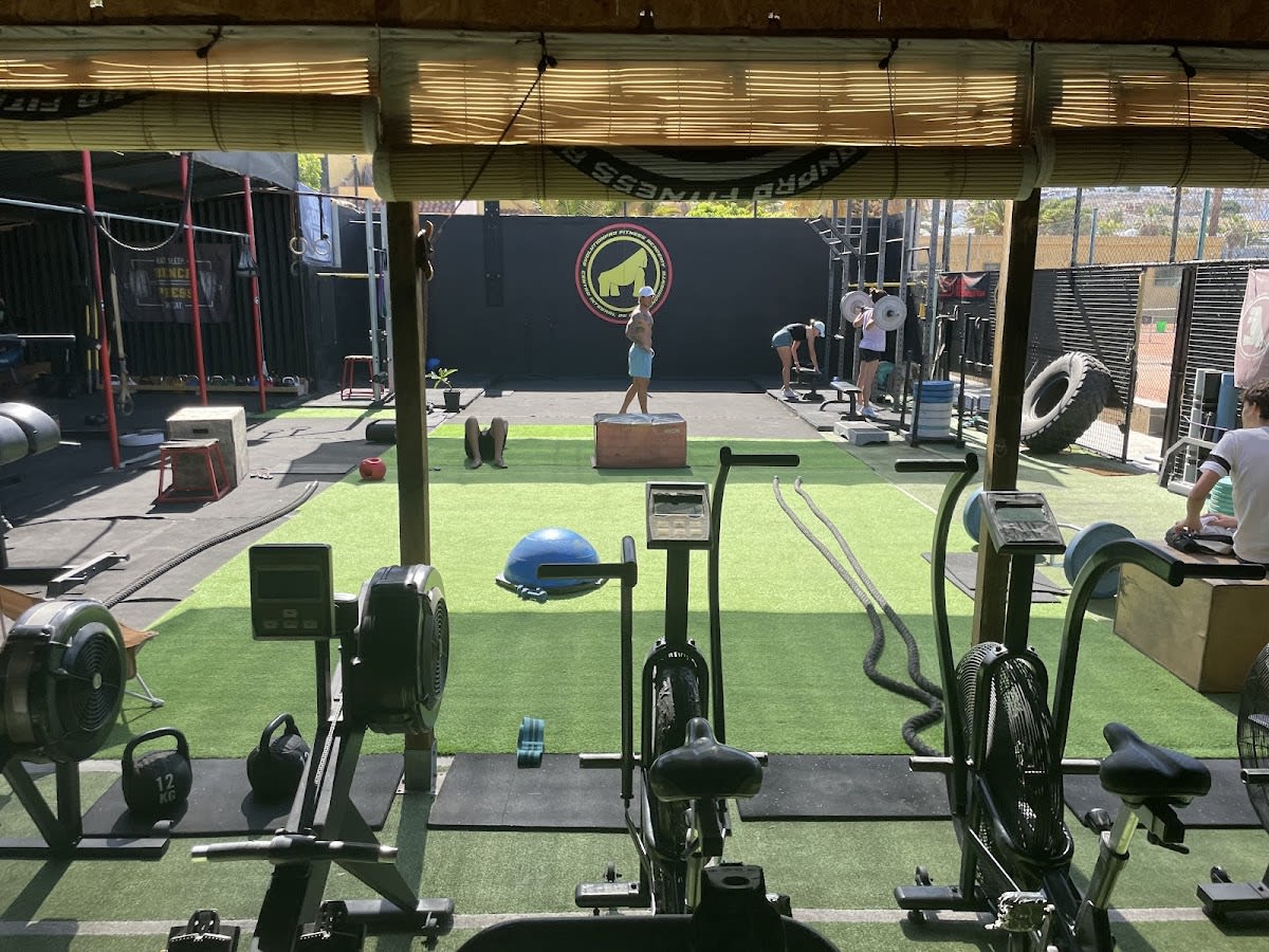 EVOLUTIONPRO FITNESS - Tenis en Fañabé