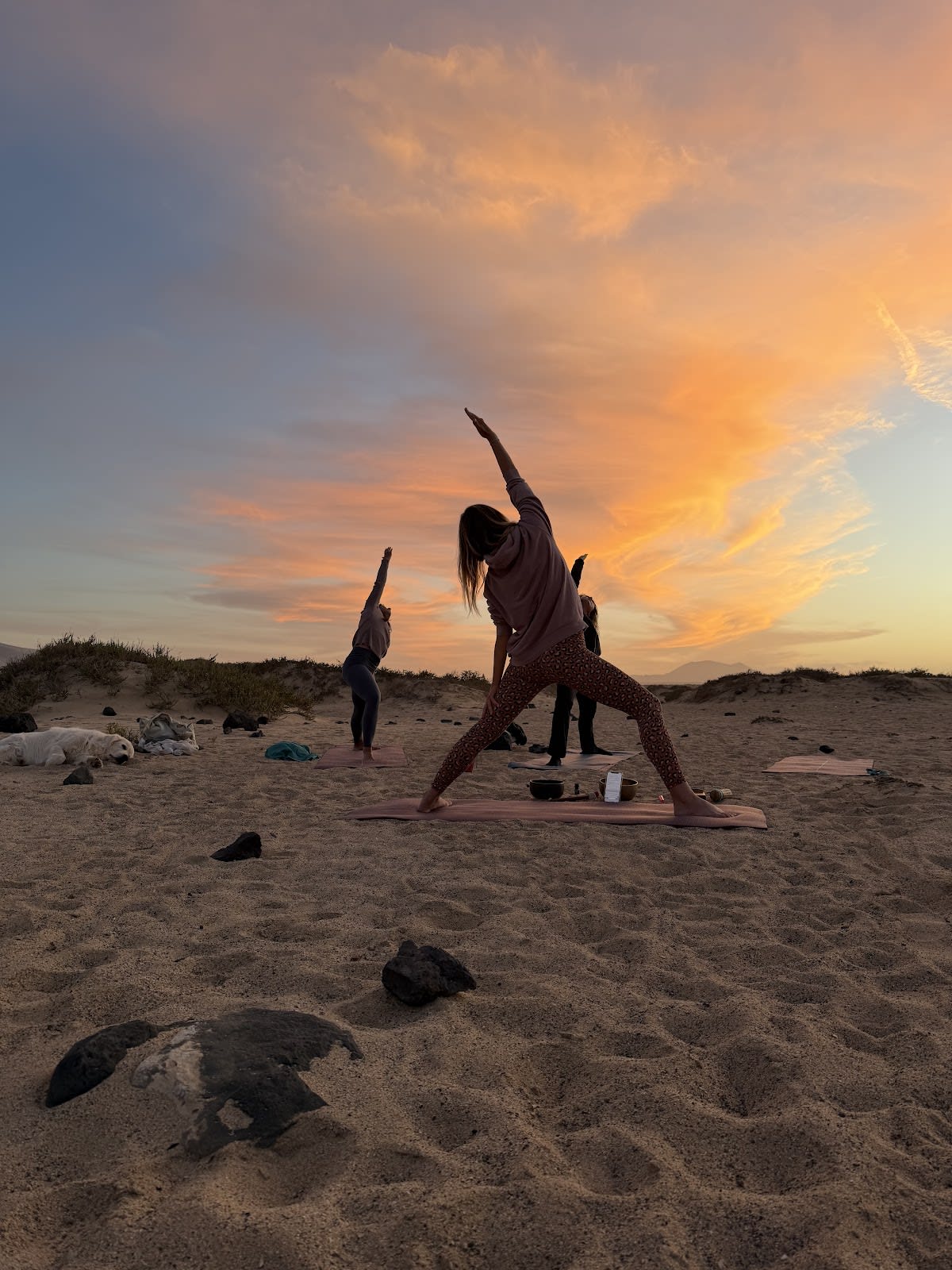 WaveMeUp Yoga & Massage - Gimnasia en Lanzarote