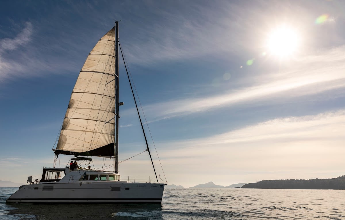 Charter Terranova - Vela in Vigo