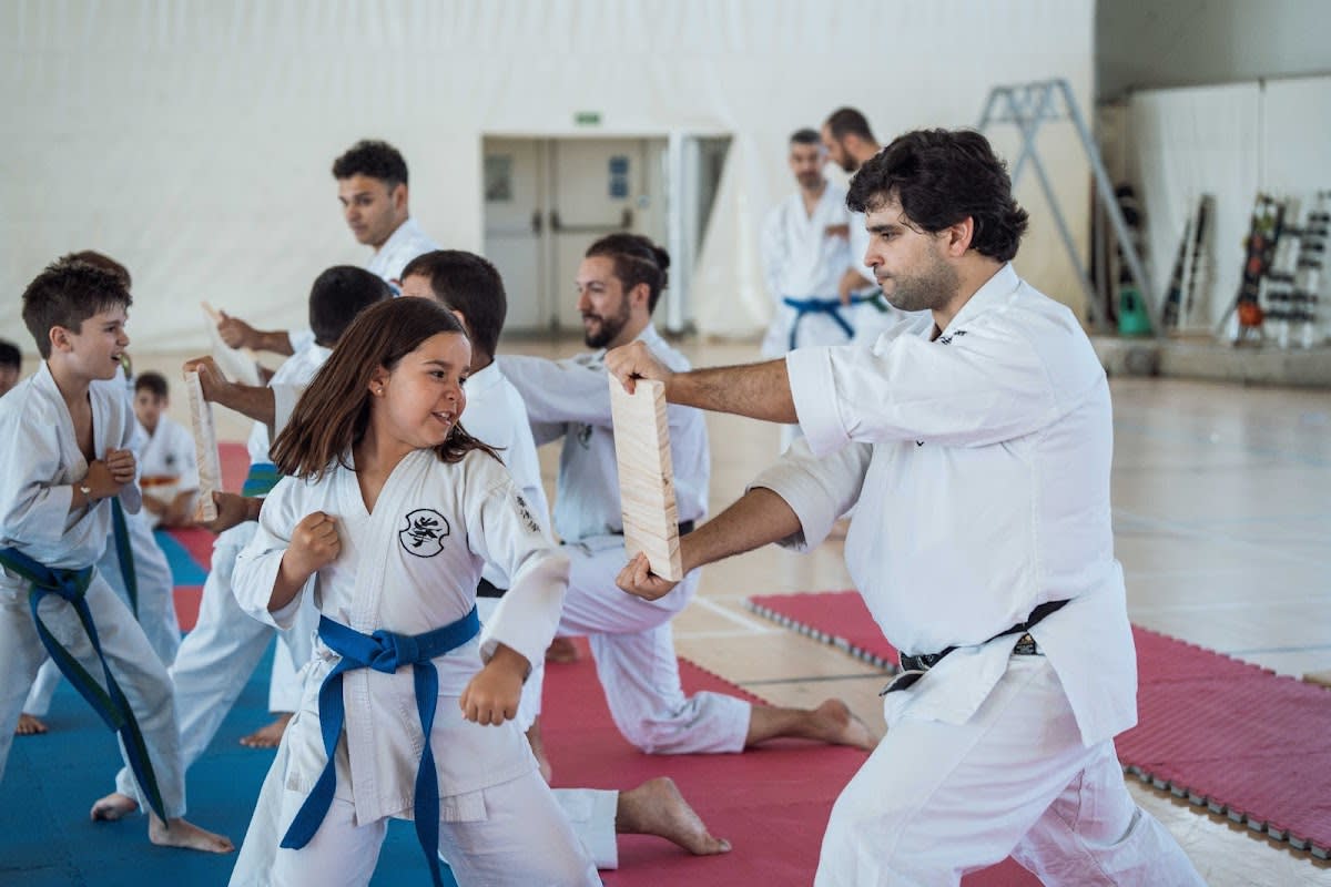El Dojo Escuela De Artes Marciales - Judo en Madrid