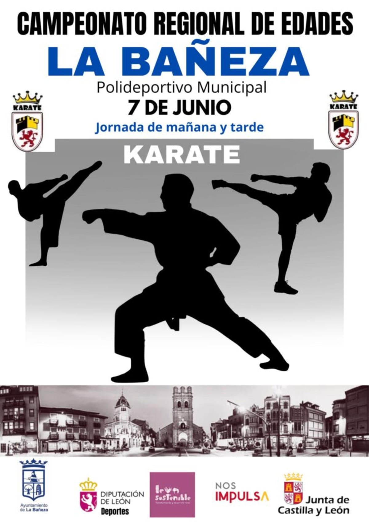 Karate Federation and D.A. Castilla y León - Karate en Valladolid