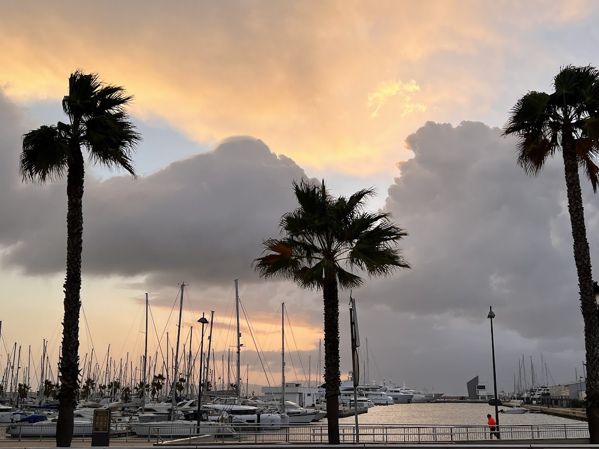 Real Club Náutico de La Línea de la Concepción - Vela in La Línea de la Concepción