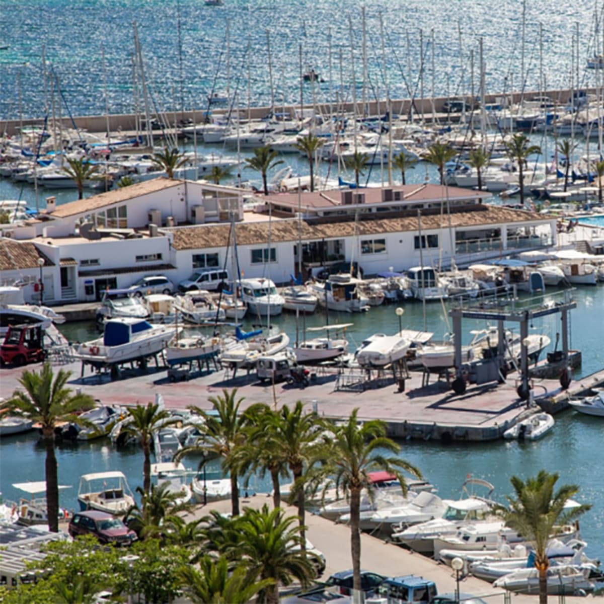 Club Nàutic Arenal - Vela a Illes Balears