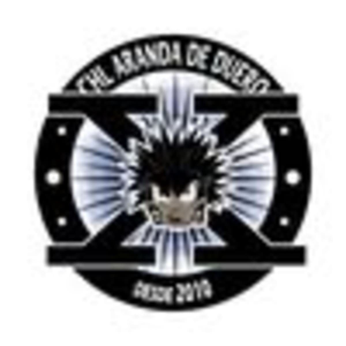 Club Hockey Línea - Aranda de Duero - Hockey en Aranda de Duero