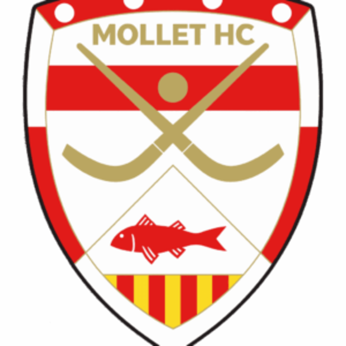 Mollet Hoquei Club - Hockey a Mollet del Vallès
