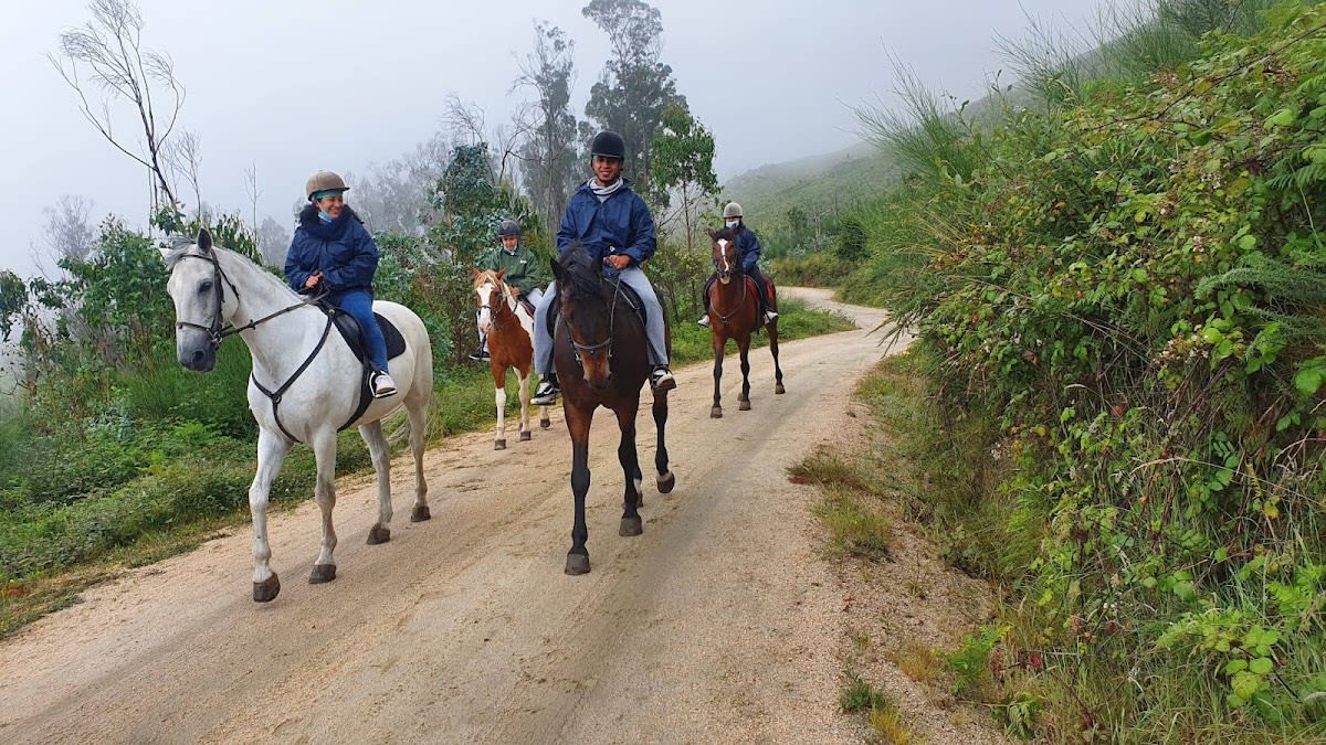 Centro Ecuestre Sierra Galiñeiro - Hipica em Gondomar