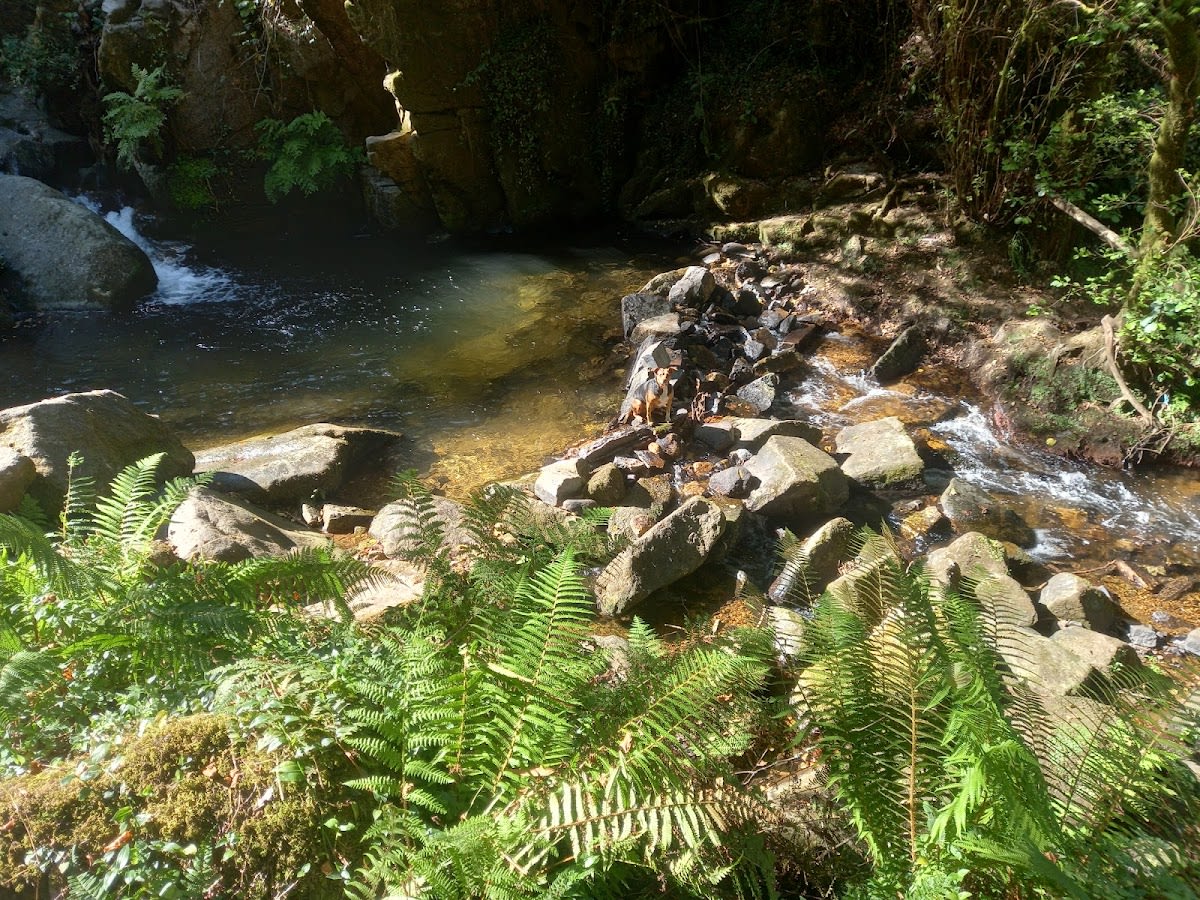 Equipo Ecuestre David Veloso - Hipica a Vigo