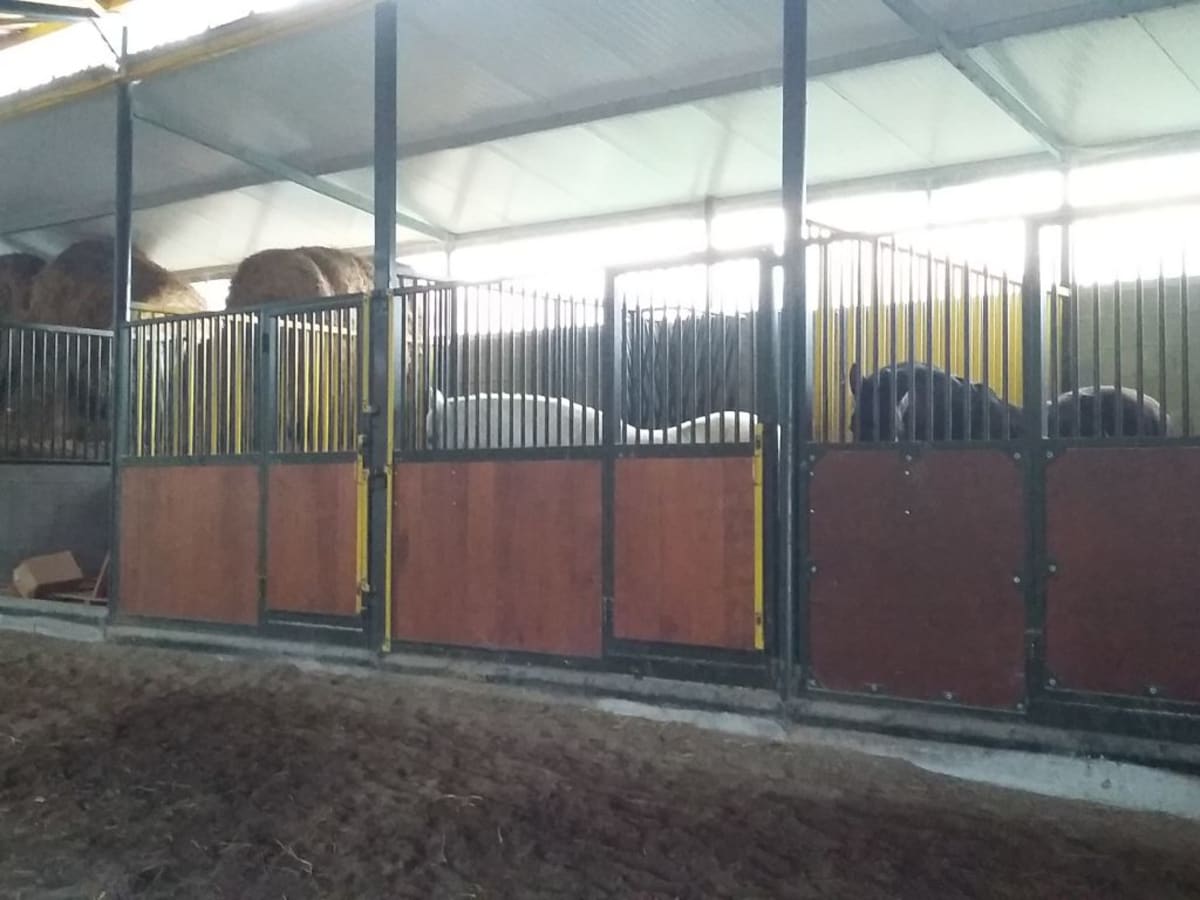 Centro Ecuestre As Verias - Hipica a Toiriz