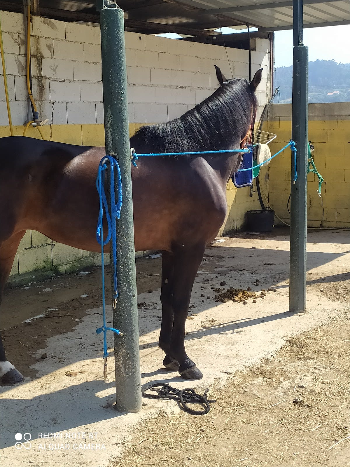 Hípica Ares - Hipica em Laxe