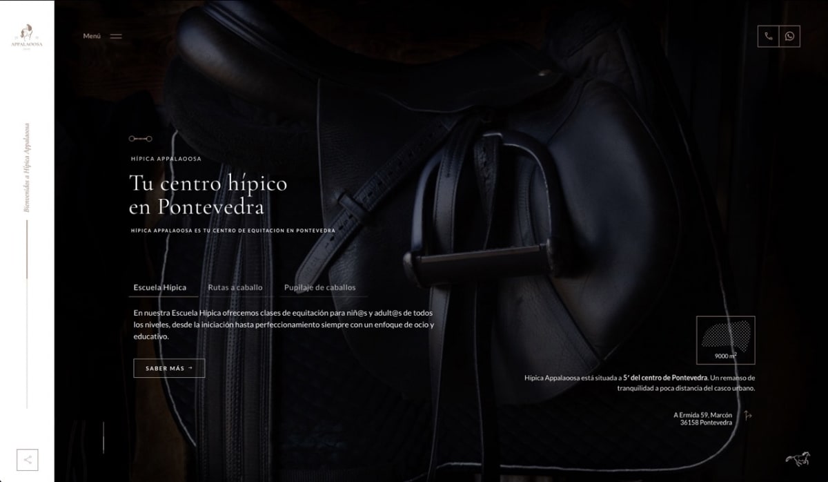 Hípica Appalaoosa - Hipica a Pontevedra