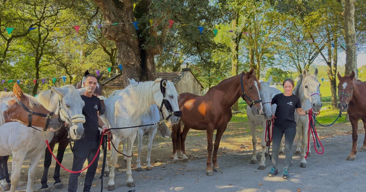 Estivada Ecuestre - Hipica in Outes