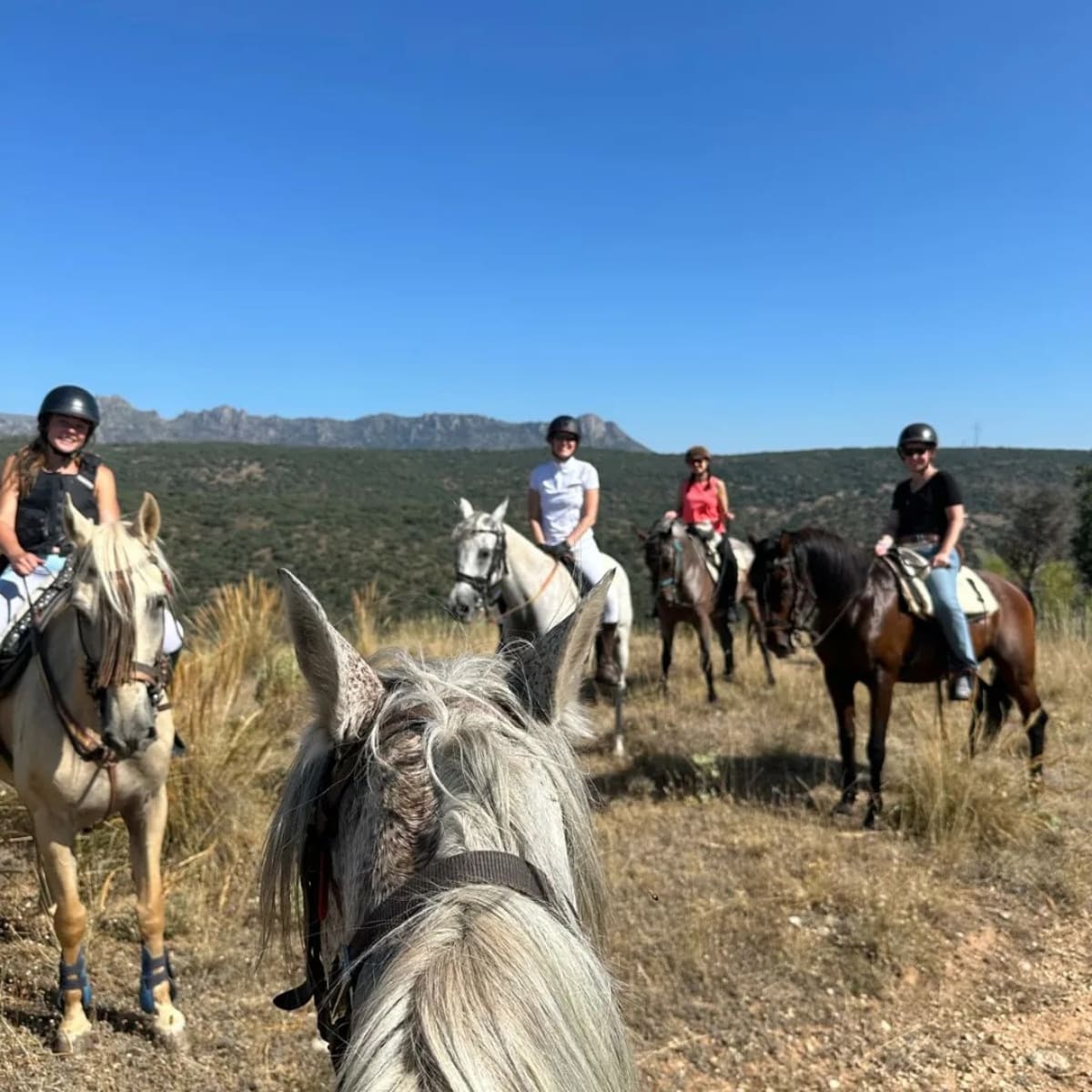 Centro Ecuestre Albero - Hipica em Redueña