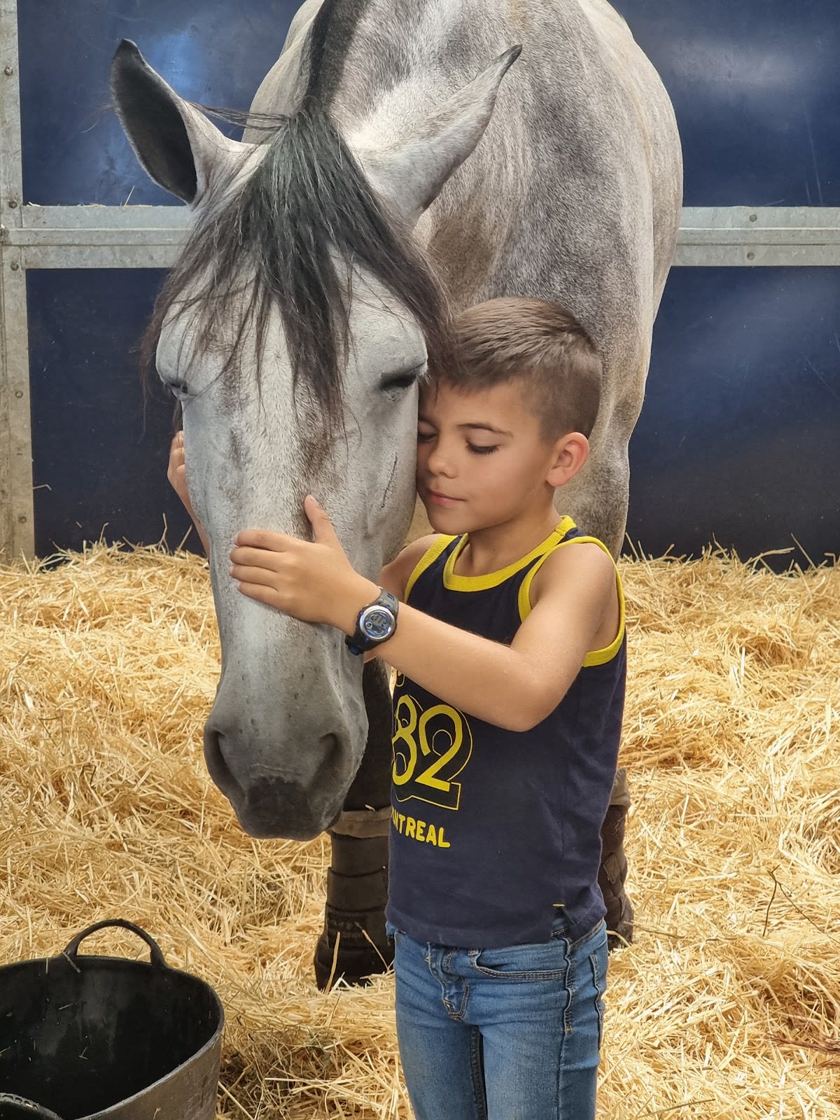 Hipica Amazonas Ganadería Santos Pereira - Hipica a A Insua