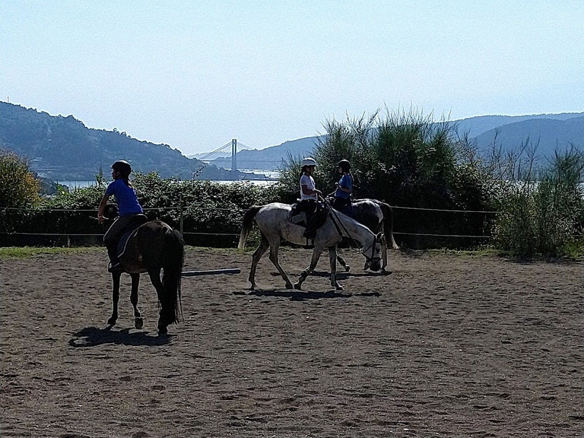 ESCUELA HIPICA LA MURALLA - Hipica en Redondela