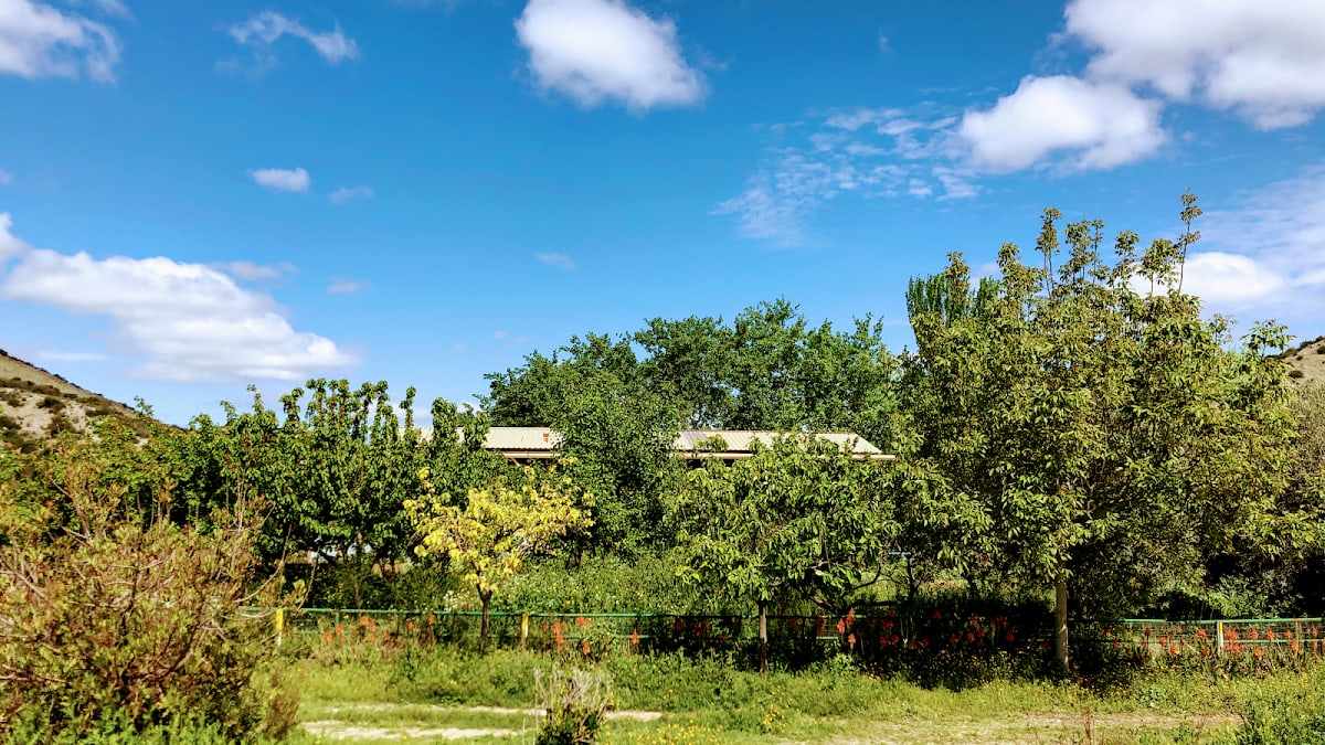 Centro cuarte ecuestre - Hipica em Zaragoza