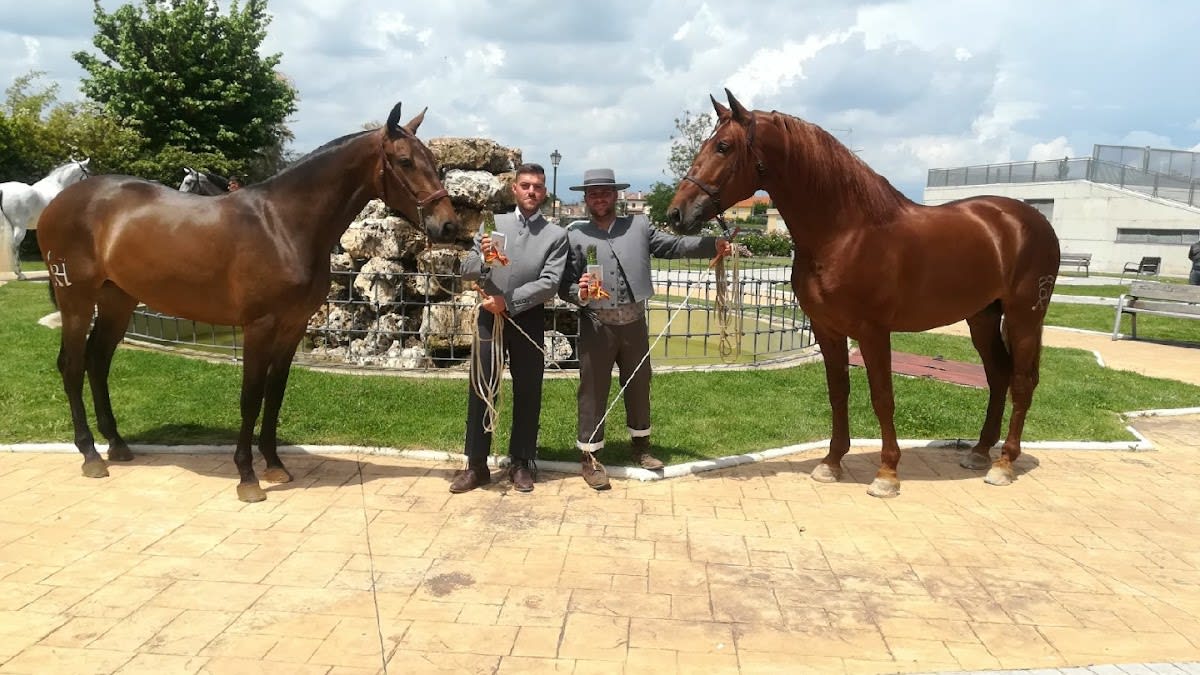 Centro Ecuestre El Salobre - Hipica a Salobral