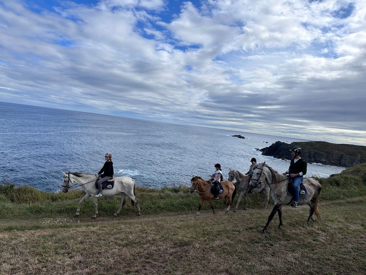 Centro Ecuestre Domastur - Hipica in Asturias