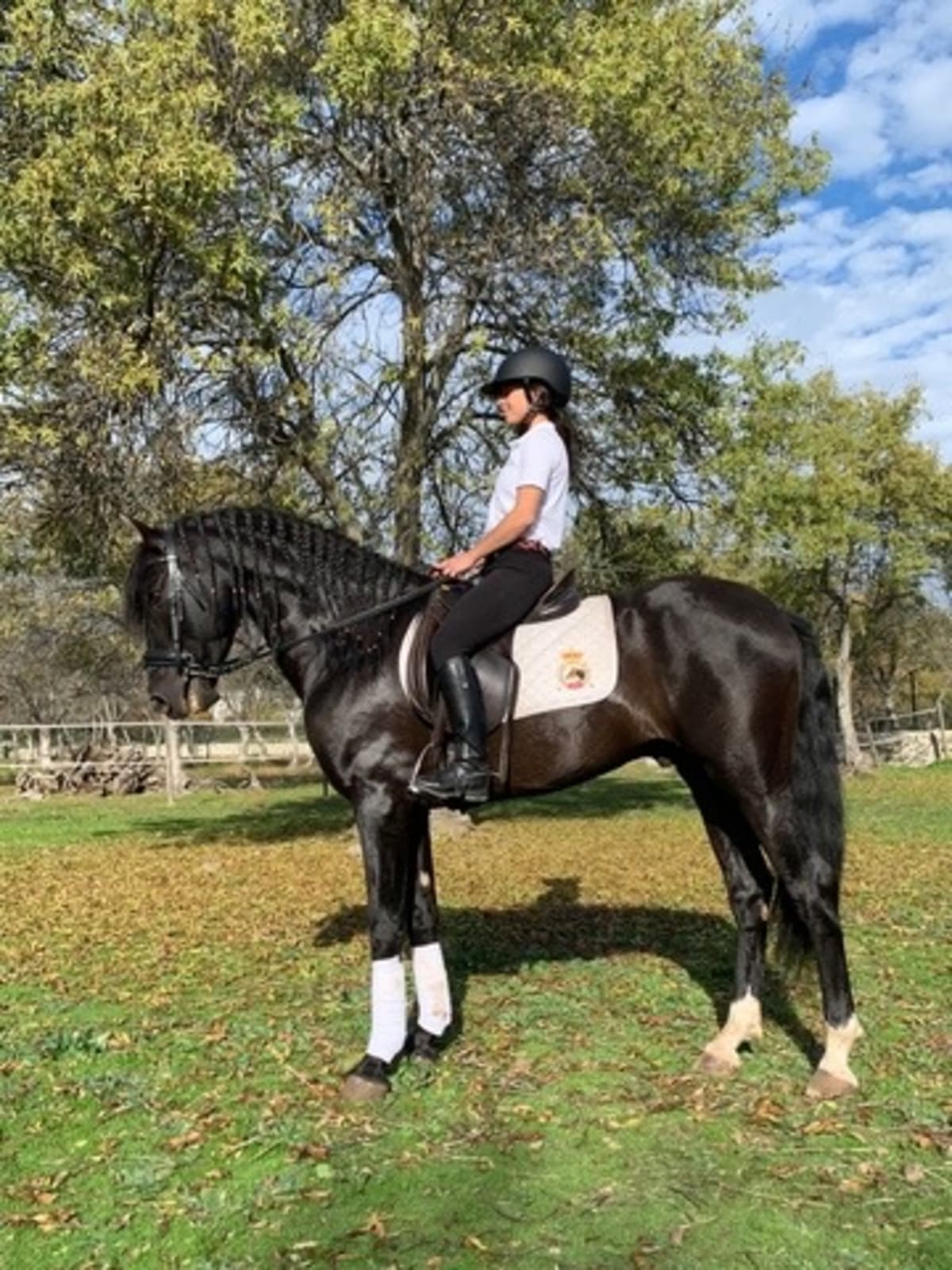 Centro Ecuestre MS - Hipica a Guadarrama