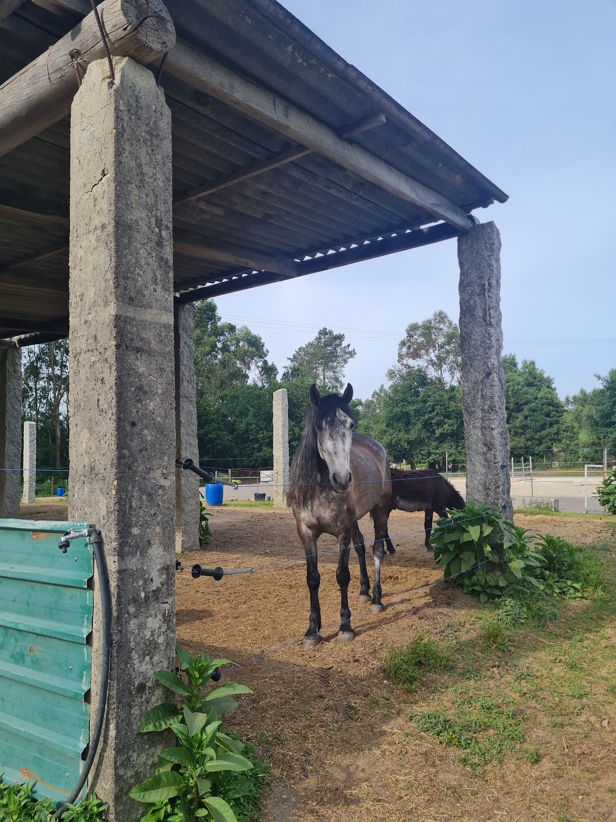Escuela Hípica A Lagoa Mondariz - Hipica a Pontevedra