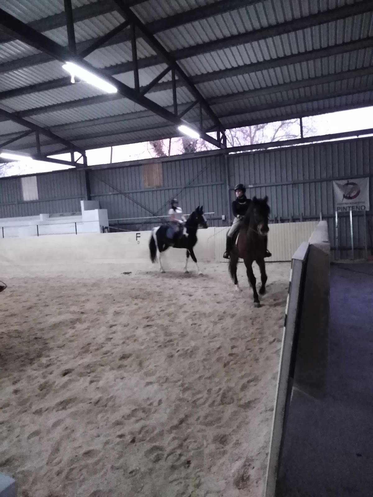 Centro Ecuestre Pinteño - Hipica a Cambre