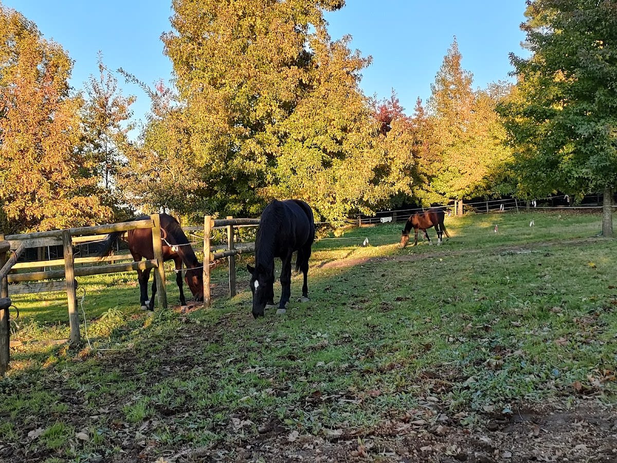 Centro hípico Outeirinho - Hipica em Louro