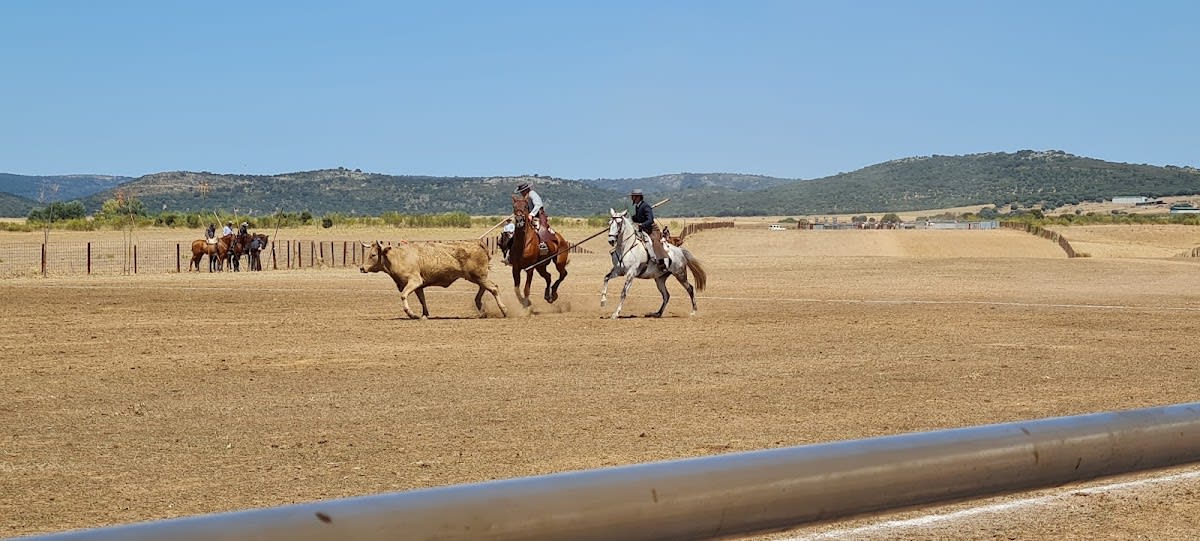 Centro ecuestre Casasola - Hipica in Salamanca