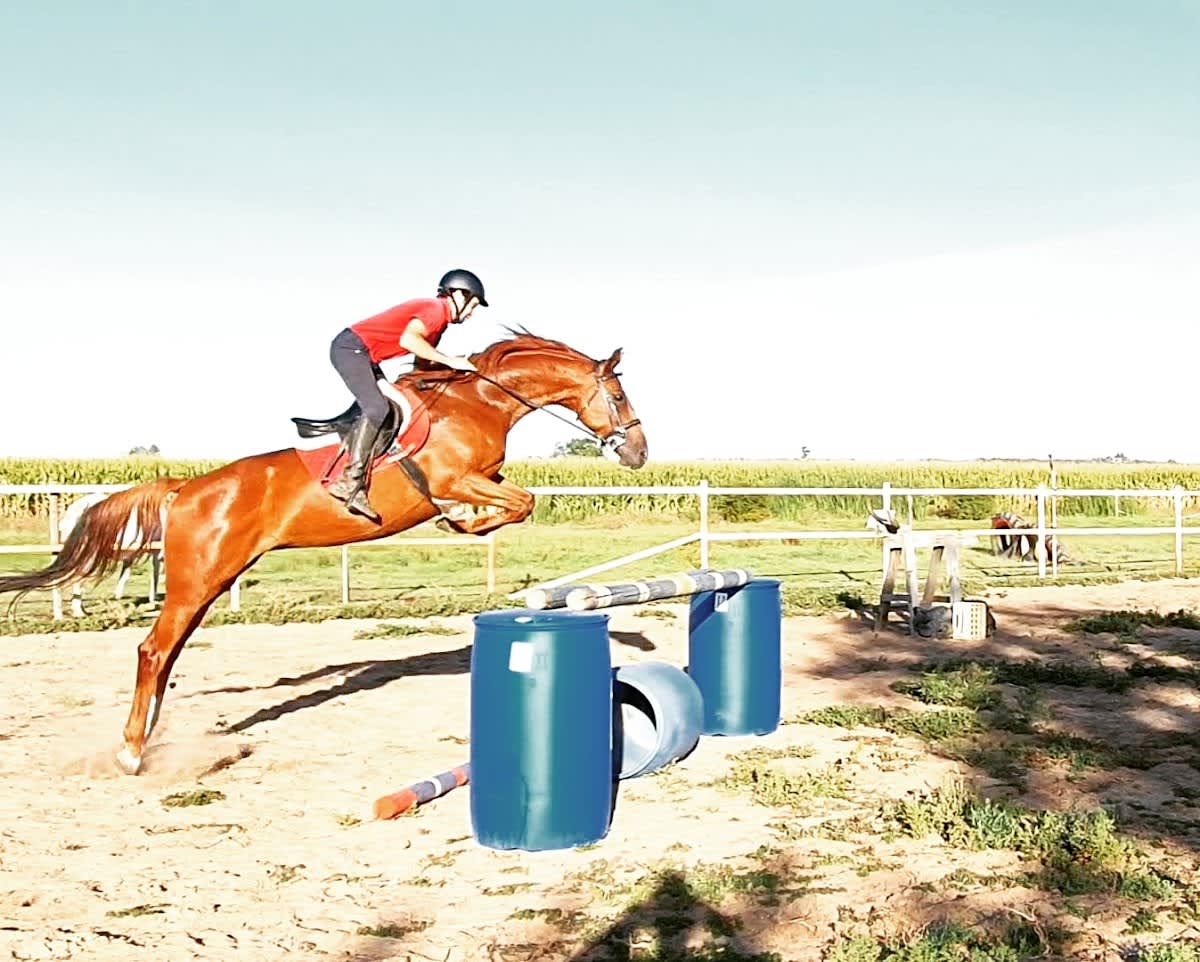 Centro Ecuestre Los Rosales de San Cristóbal - Hipica em San Cristóbal de Entreviñas