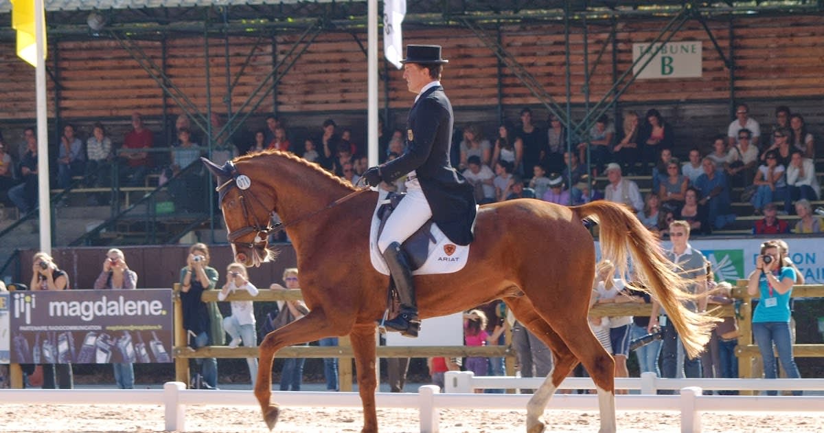 CENTRO ECUESTRE TORDESILLAS - Hipica a Tordesillas