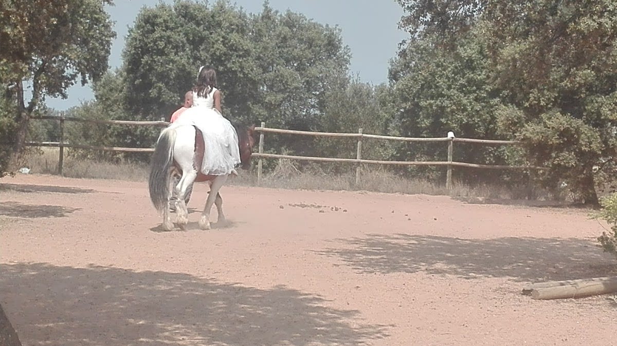Club Hípico Lord Chans - Hipica a Zamora