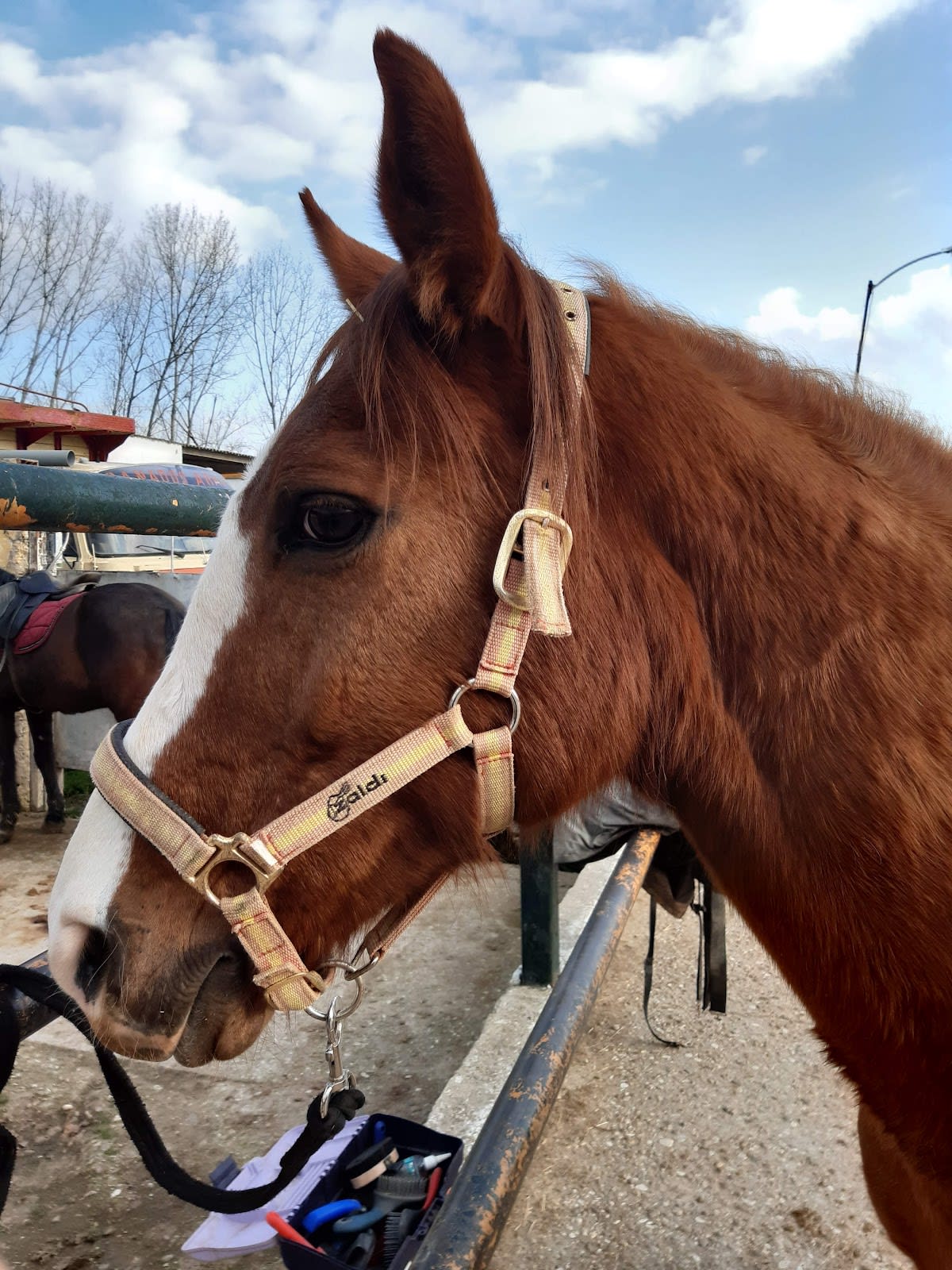 Centro Ecuestre Overuela - Hipica a Valladolid