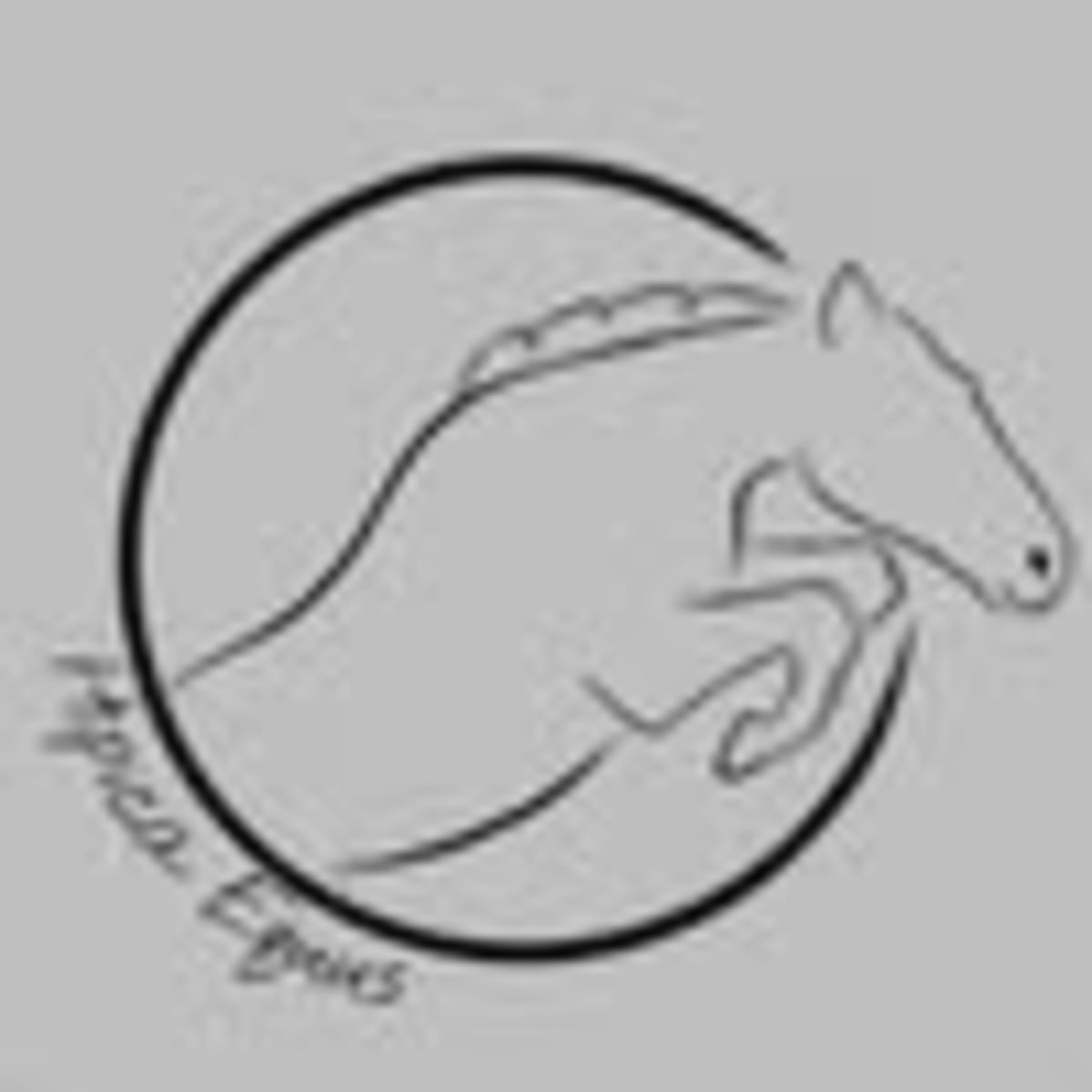 Hípica Equus - Hipica a Camponaraya