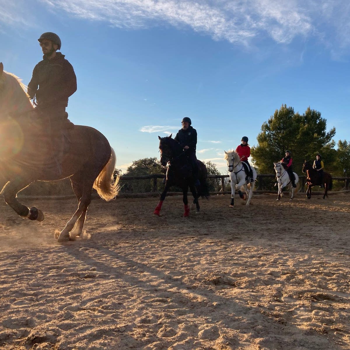 Centro Ecuestre CM - Hipica in Almansa