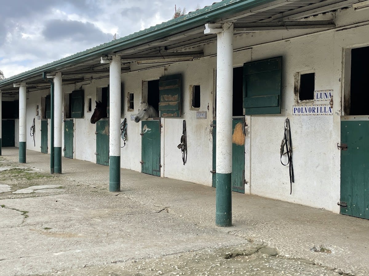 Club Hípico Santiago de Compostela - Hipica in Santiago de Compostela