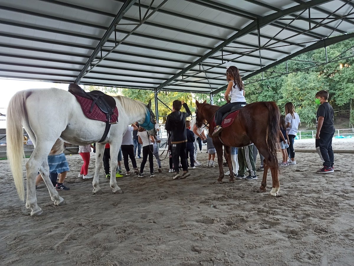 ECAT escuela de competición - Hipica a Covelo