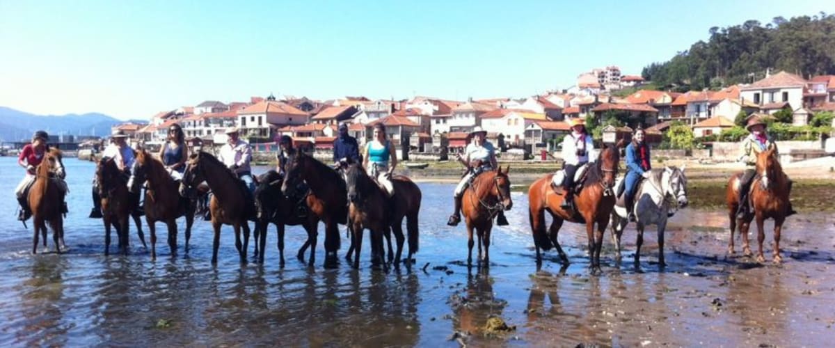 Camino de Santiago a Caballo - Hipica a Pontevedra