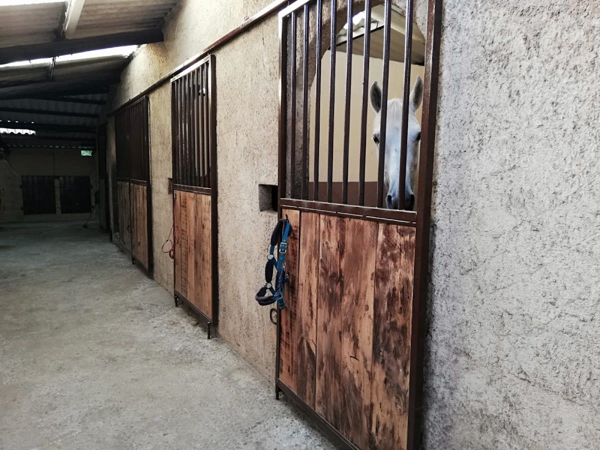 Pony Club Los Gavilanes - Hipica em La Coruña