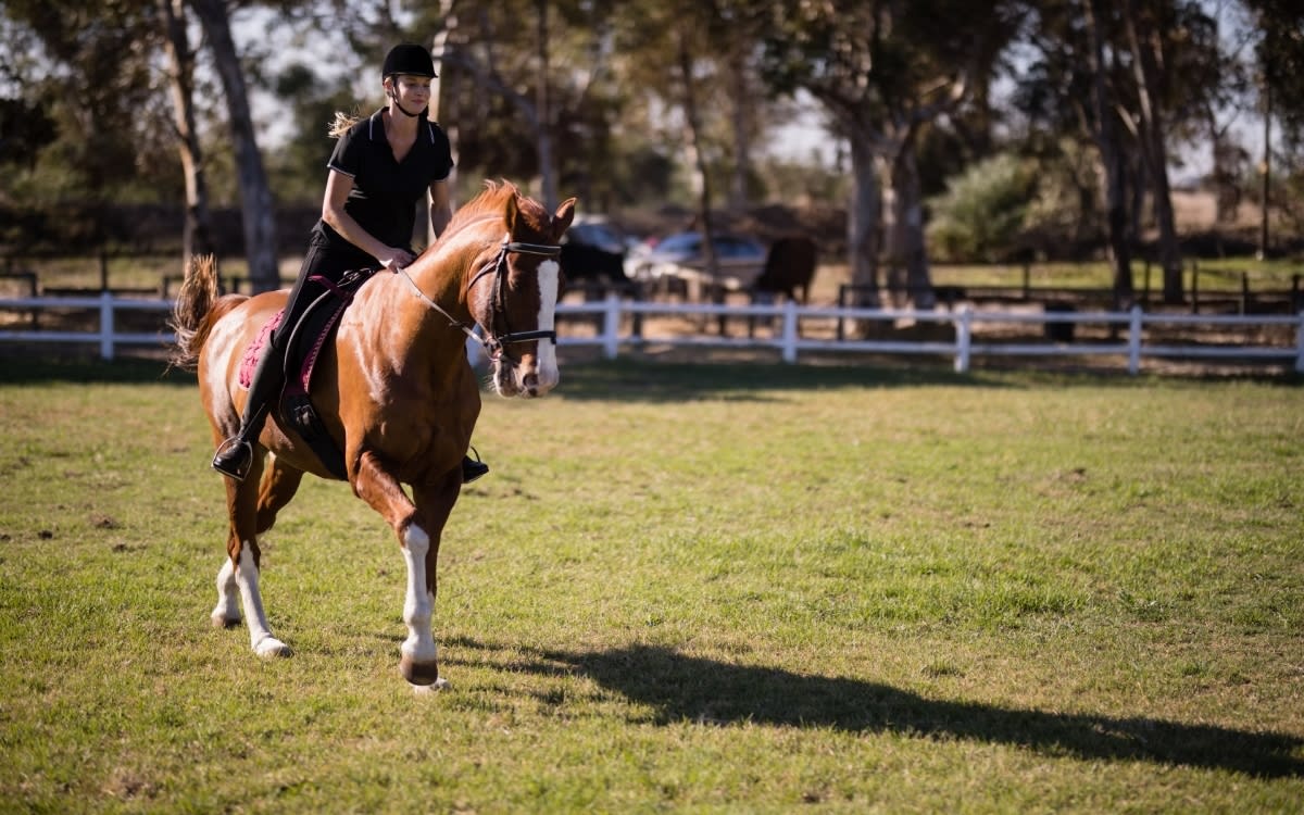 Centro Hípico Los Porches - Hipica en Arteixo