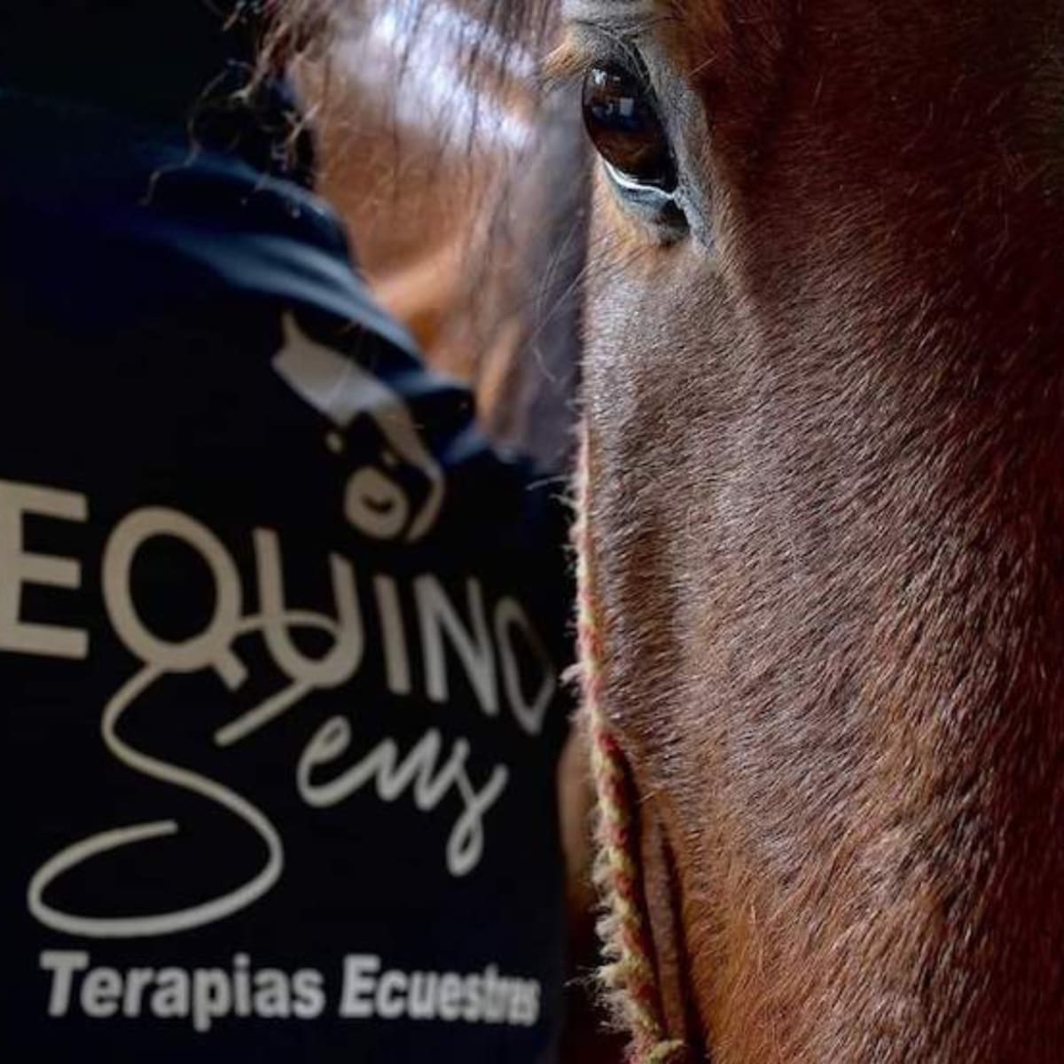 EquinoSens - Hipica in A Coruña