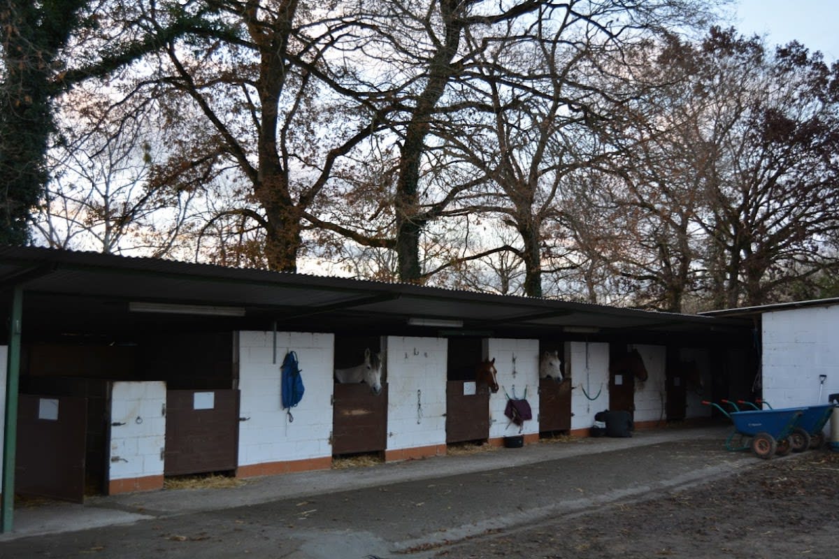 Centro Ecuestre La Belga - Hipica a Bobes