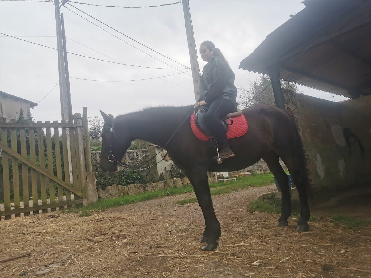 Centro hipico hispania - Hipica a Asturias