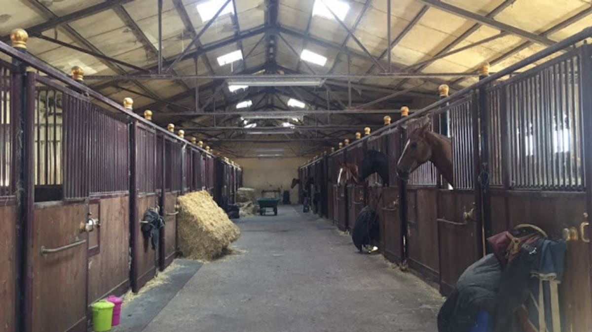 Escuela Equitación Manzaneda - Hipica a Luanco